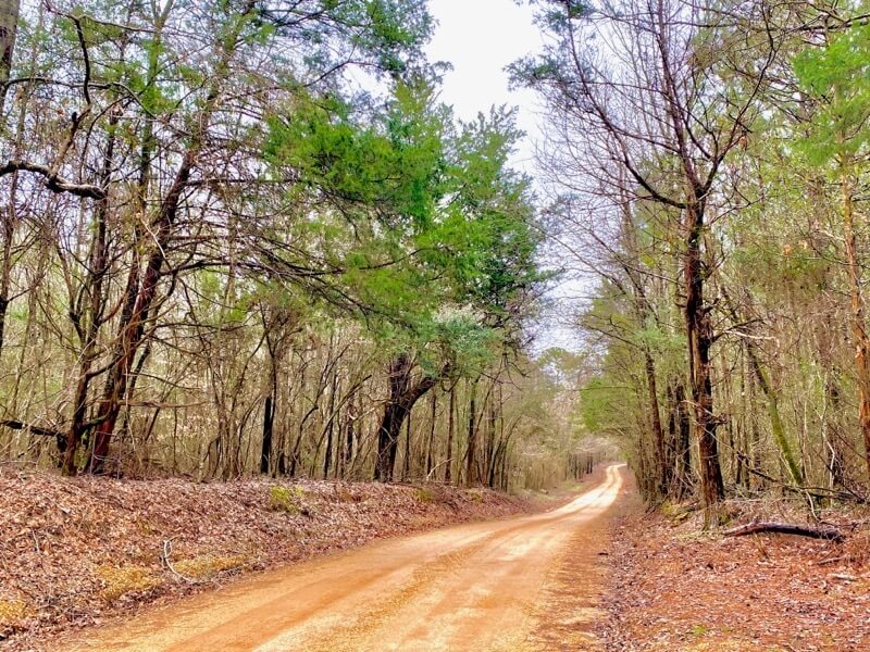 Land-for-Sale-in-Amite-County-MS