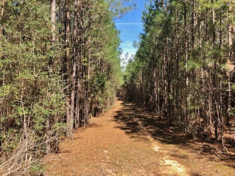 land-for-sale-in-Franklin-County-MS