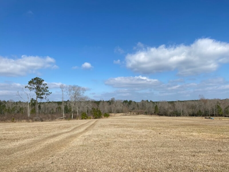 land-for-sale-in-Lincoln-County-MS