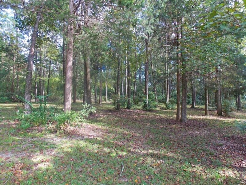 Pike County MS land for sale