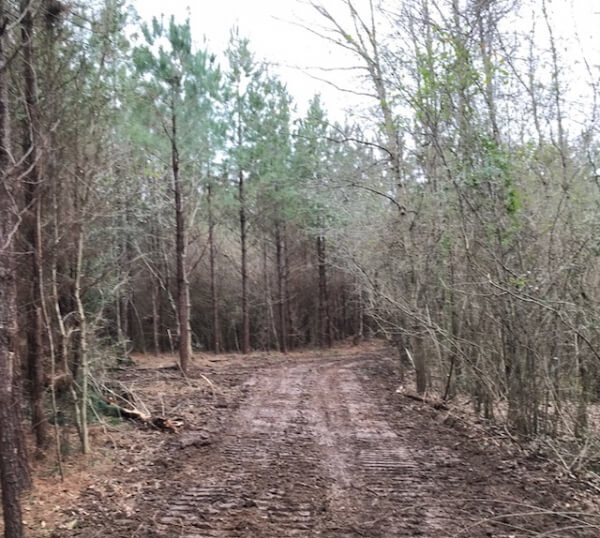 Walthall County MS land for sale