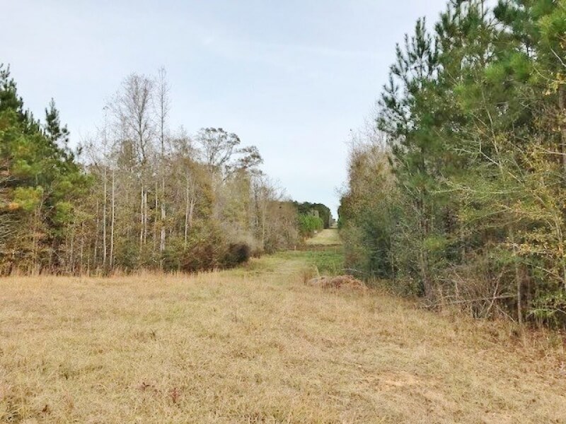 Pike County MS hunting land for sale