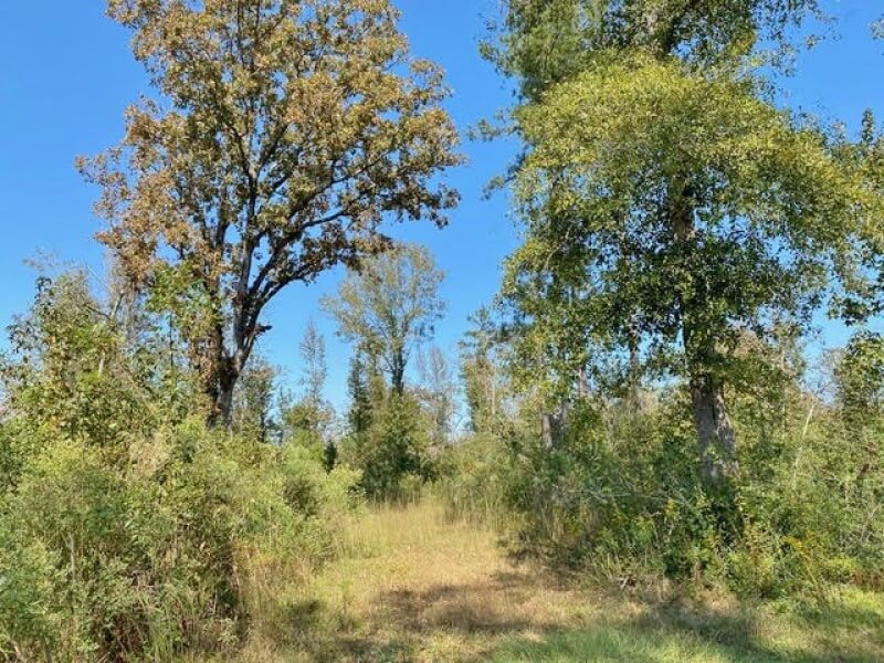 land-for-sale-in-pike-county-ms