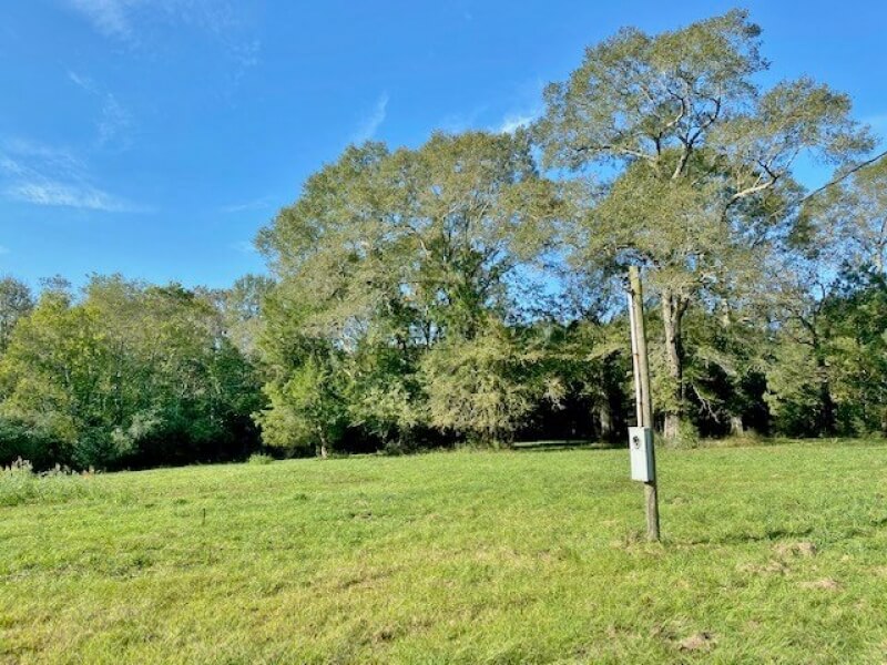 ranchland-for-sale-in-Mississippi
