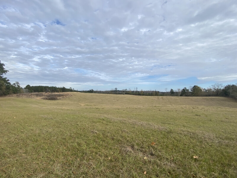 Simpson-County-MS-Land-for-Sale