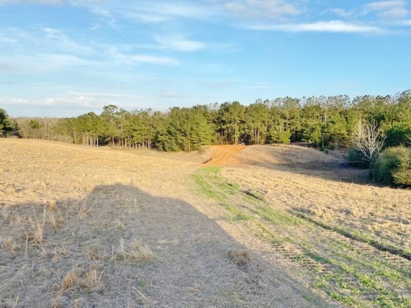 133-acres-land-for-sale-in-Walthall-County-MS