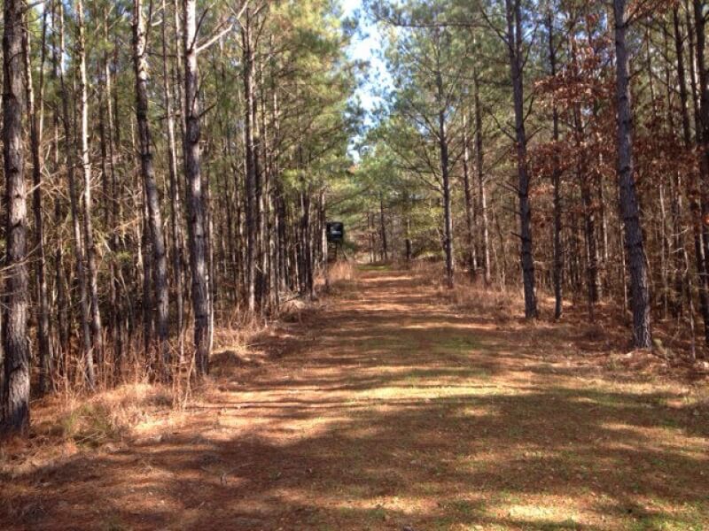 Hunting-land-for-sale in-Wilkinson-County-MS