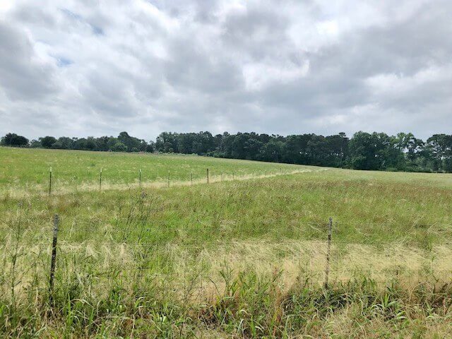Land-for-sale-in-Amite-County-MS