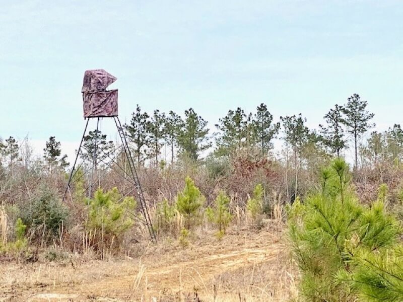Hunting-land-for-sale-in-Pike-County-MS-83-acres