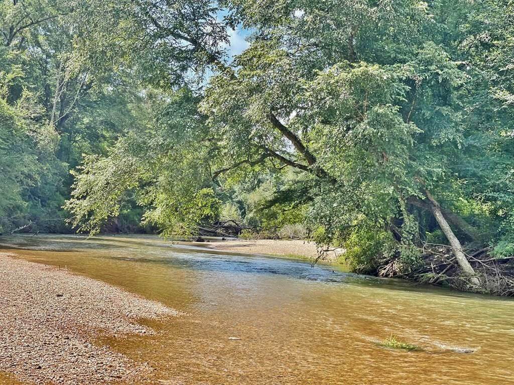 51-acres-Hunting-land-for-sale-in-Mississippi-Pike-County