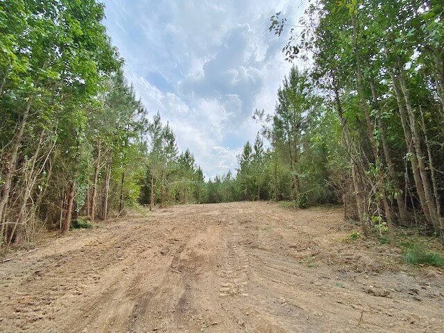 Mississippi-hunting-land-for-sale-29-acres-Lincoln-County-MS