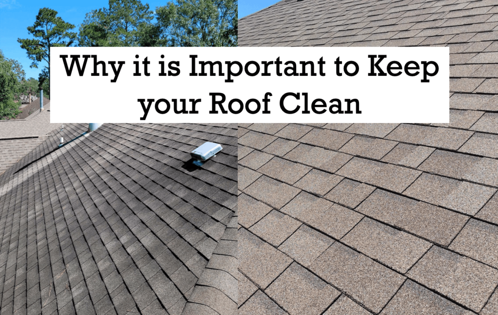 Why it is Important to Keep your Roof Clean