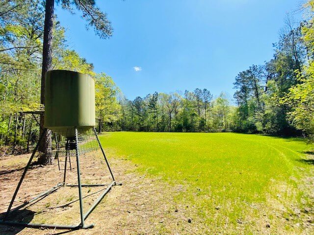 272-acres-hunting-land-for-sale-in-Mississippi