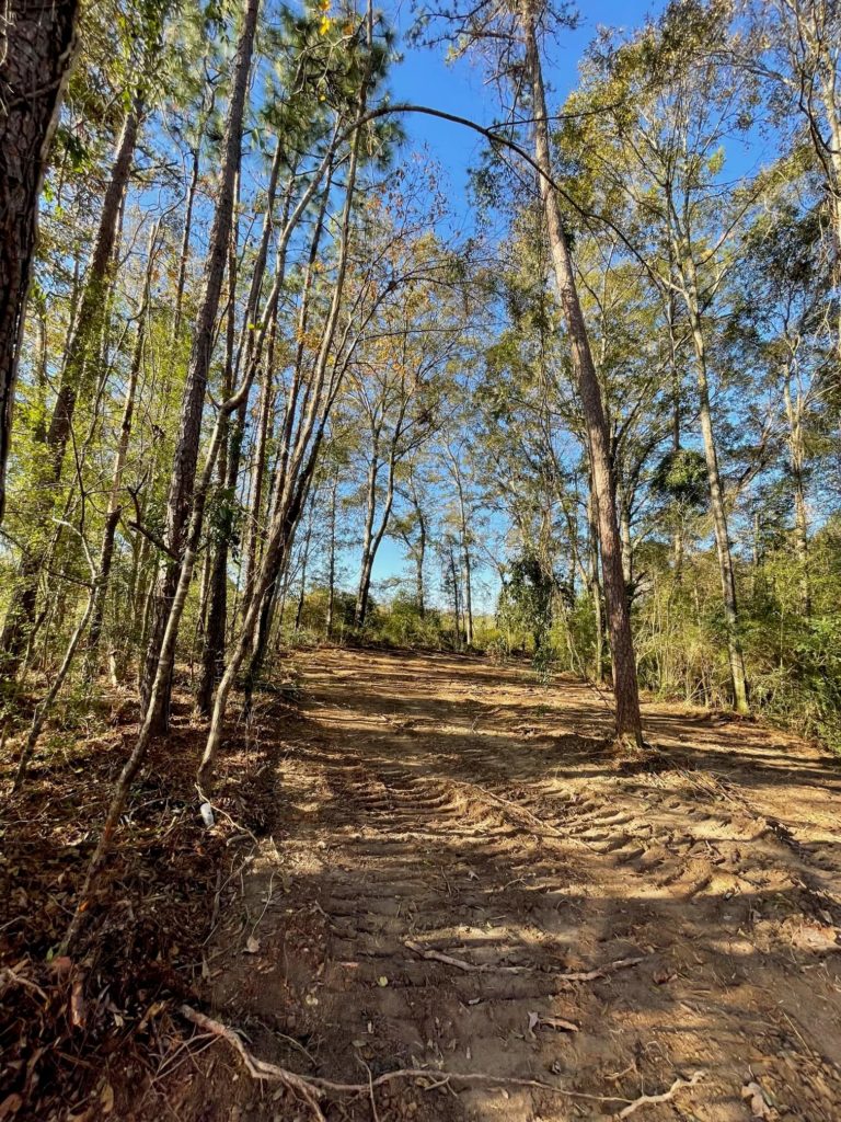 Hunting-Land-for-Sale-in-Mississippi-23-Acres-More-or-Less