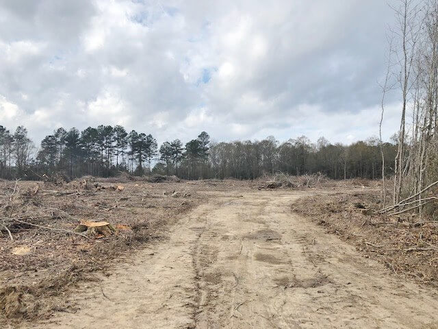 Land-for-sale-in-Lawrence-County-MS