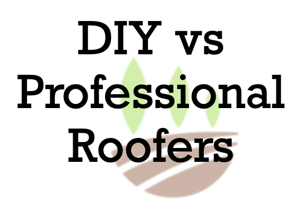 Should-You-DIY-Your-Roofing-Issue-or-use-a-Professional-Roofer