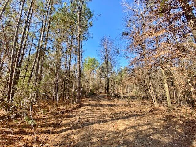 16 Acres Timberland for Sale in Lincoln County MS