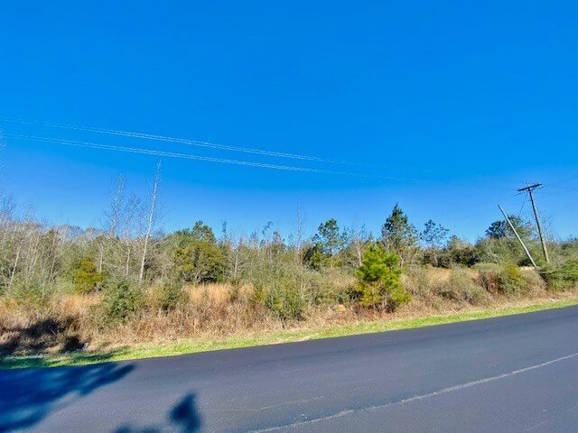 6-Acres-of-Land-for-sale-in-Walthall-County-MS