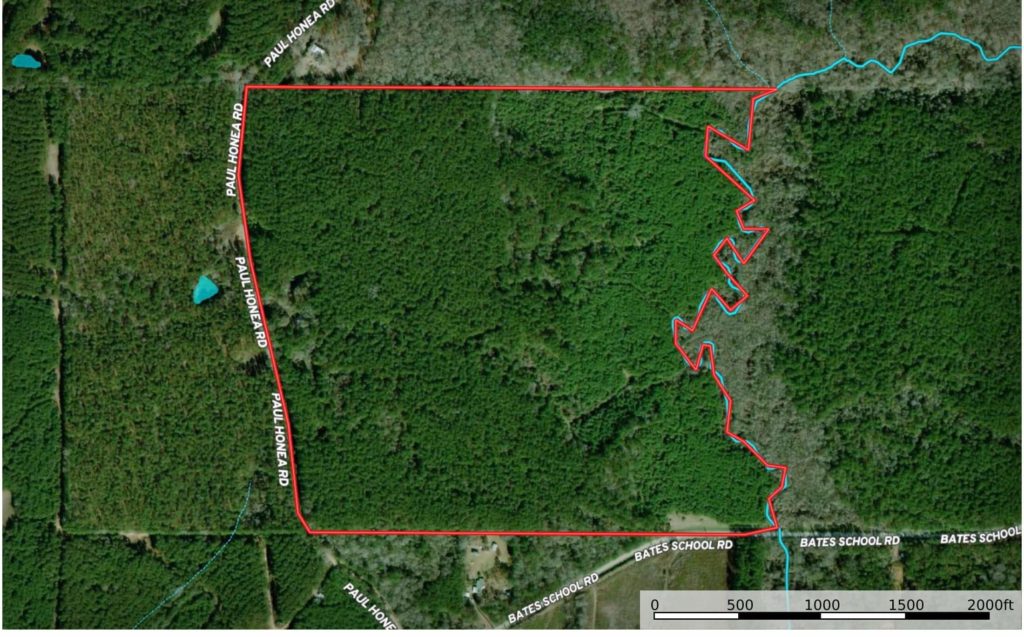 Recreational-Land-for-Sale-in-Amite-County-MS-169.4-Acres