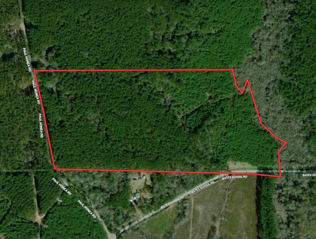 Timberland-for-Sale-in-Amite-County-MS-80-Acres