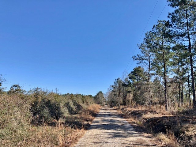 18-Acres-Deer-Hunting-Land-for-Sale-in-Marion-County-MS
