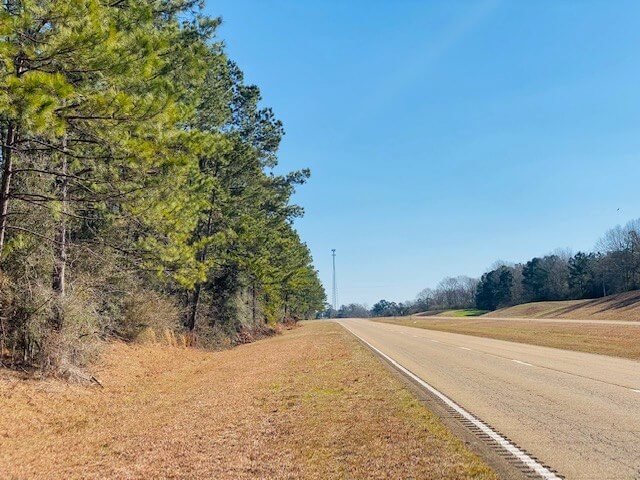 9-Acres-Timberland-for-Sale-in-Walthall-County-MS