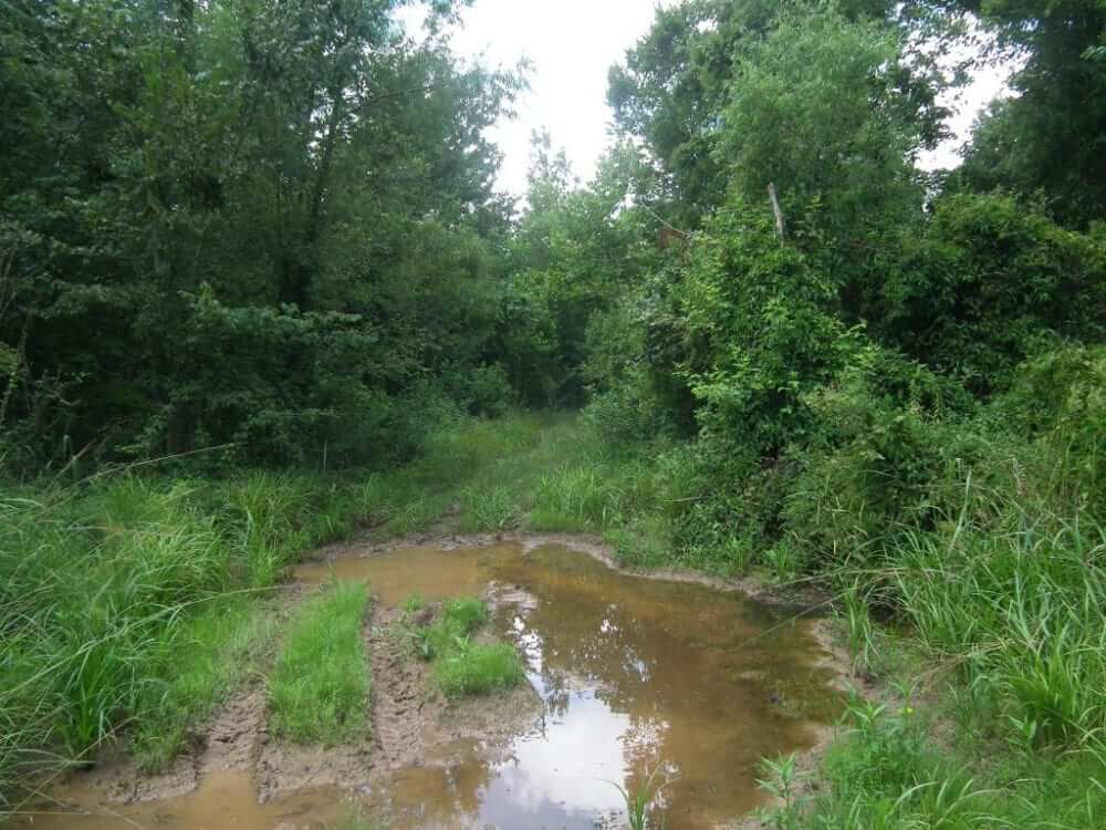 166-Acres-Hunting-Land-for-Sale-in-Leake-County-MS