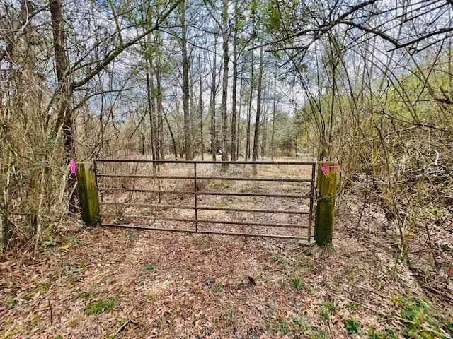 20-acres-Hunting-and-Recreational-Land-for-Sale-in-Walthall-County-MS