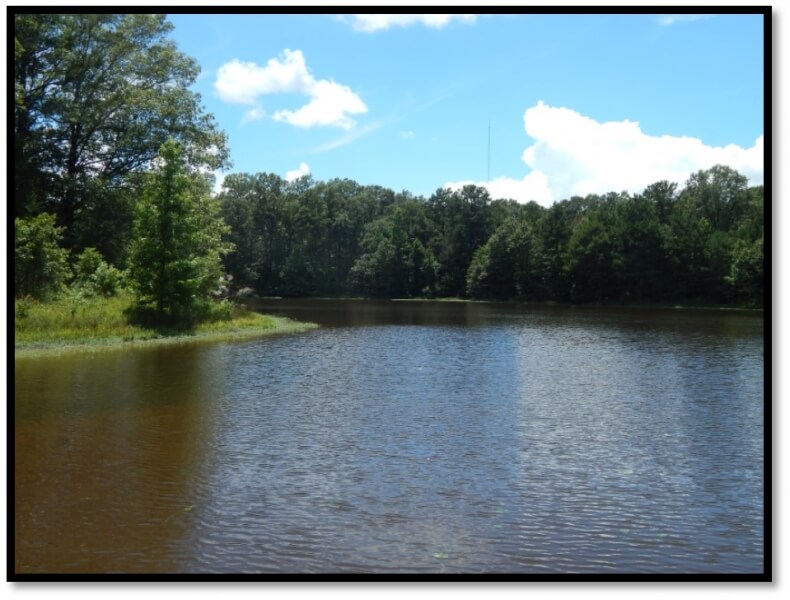 317-Acres-Land-for-Sale-in-Hinds-County-MS-City-of-Raymond