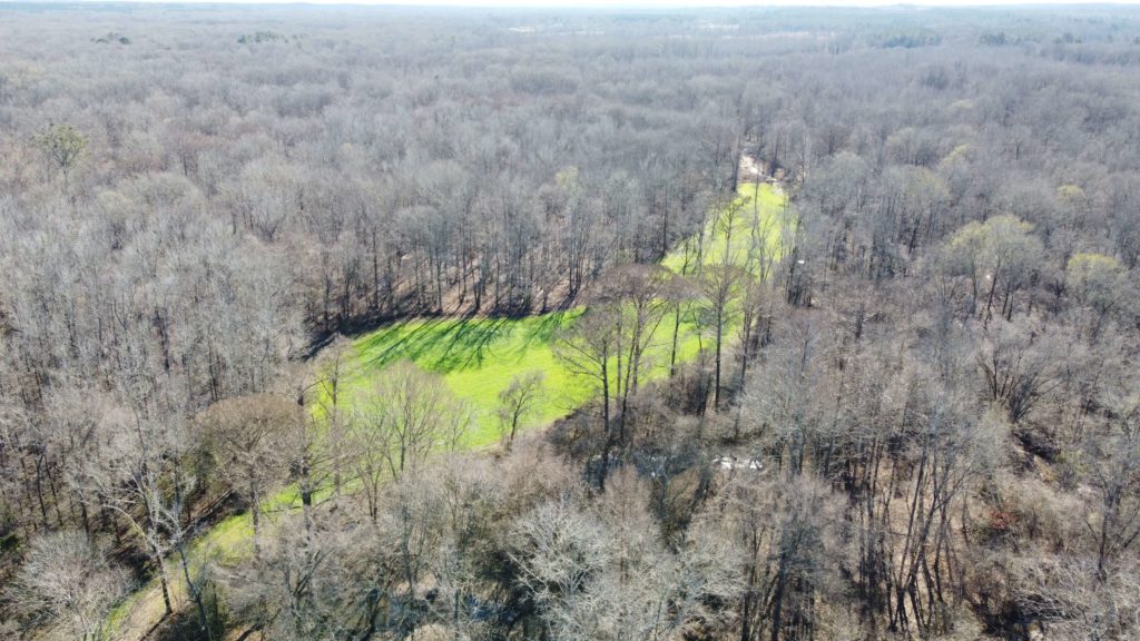 Timber-Land-for-Sale-in-Montgomery-County-MS-1255 Acres