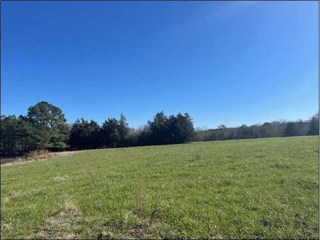 Farm-Land-for-Sale-in-Leake-County-90-Acres