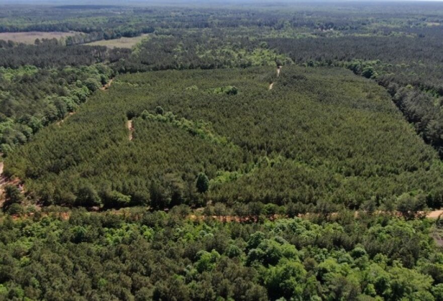 Hunting-Land-for-Sale-in-Leake-County-MS-38-Acres