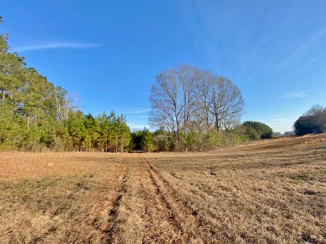 Hunting-Land-for-Sale-in-Pike-County-MS-27.6-Acres