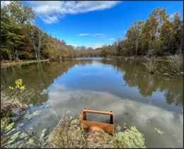 Land-for-Sale-in-Issaquena-County-MS-95-Acres-Hunting-Property