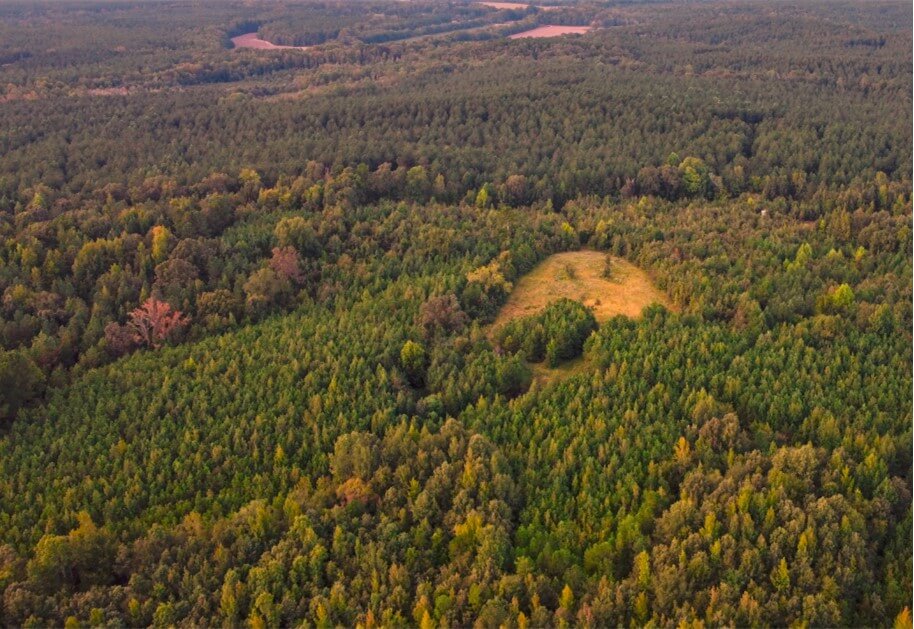 Land-for-Sale-in-Webster-County-MS-128-Acres-of-Hunting-Land