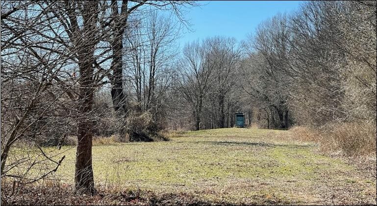 Land-for-sale-in-Sharkey-County-MS-185-Acres-Timberland