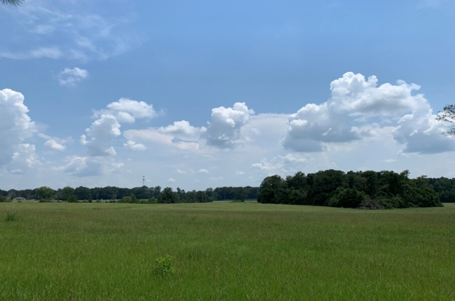 122-Acres-Hunting-Land-for-Sale-in-Pike-County-MS