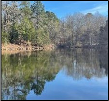 26-Acers-Hunting-Land-for-Sale-in-Hinds-County-MS
