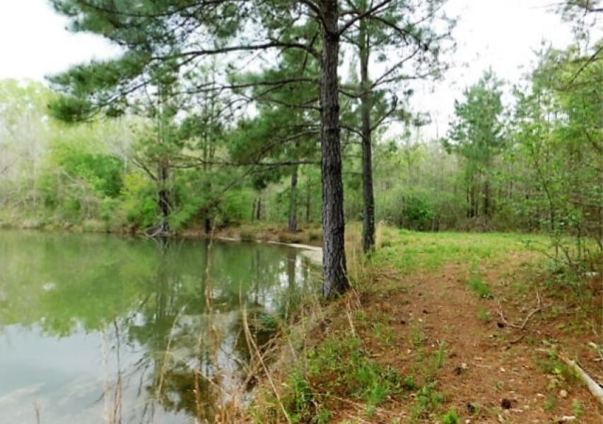 95-Acres-Land-for-Sale-in-Hinds-County-MS