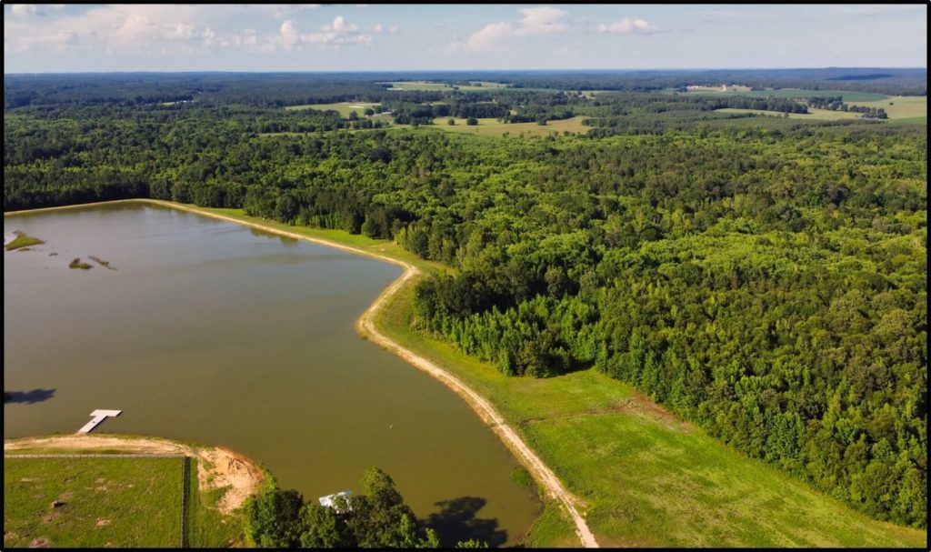 Hunting-Land-for-Sale-in-Mississippi-509-Acres-Winston-County