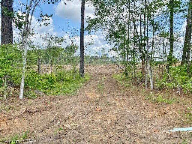 Land-for-Sale-in-Amite-County-MS-117-Acres