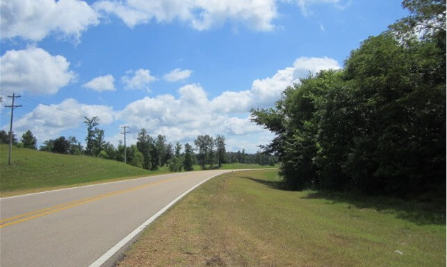Timber-land-for-Sale-in-Mississippi-Union-County