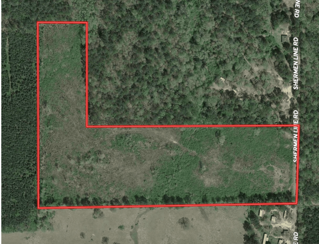 24-Acres-Land-for-Sale-in-Amite-County-MS