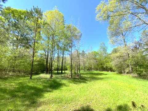 145-Acres-Land-for-Sale-in-Hinds-County-MS-Terry-Community