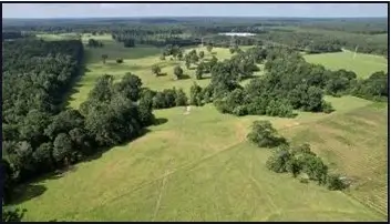 Land-for-Sale-in-Lincoln-County-MS-75-Acres-with-a-Creek