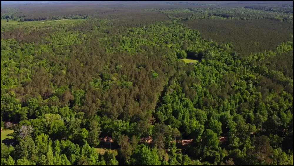 Land-for-Sale-in-Oktibbeha-County-MS-77-Acres-with-Mobile-Home