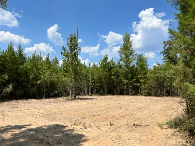 Timberland-for-sale-in-Mississippi