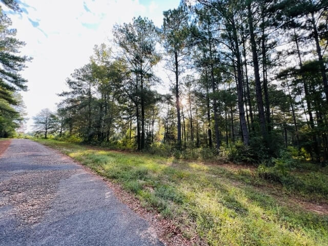 1-Acre-Land-for-Sale-in-Mississippi