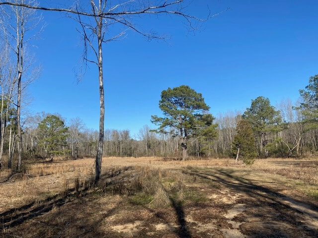 26-Acres-Secluded-Hunting-Land-for-Sale-in-Mississippi