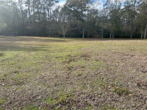 Land-for-Sale-in-Pike-County-MS-Lot-for-Sale